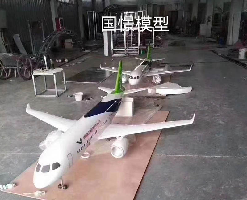 庆阳飞机模型